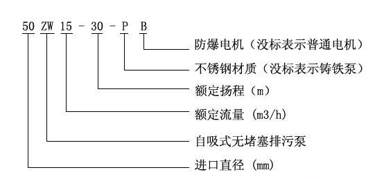 ZW型自吸式无堵塞草莓视频官网在线观看型号意义