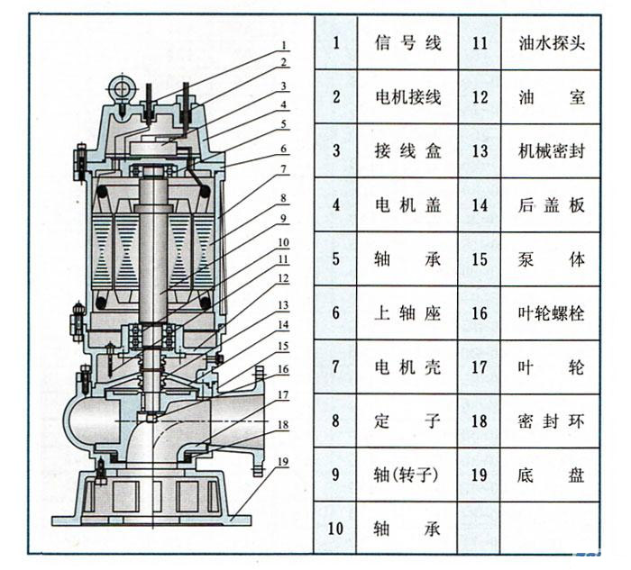 QW(WQ)潜水式无堵塞草莓视频官网在线观看(结构图)