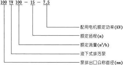 YW无堵塞液下式草莓视频官网在线观看型号意义