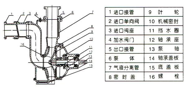 ZWP型不锈钢自吸式无堵塞草莓视频官网在线观看（结构图）